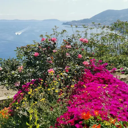 In Collina E Vista Mare アパート イスキア島